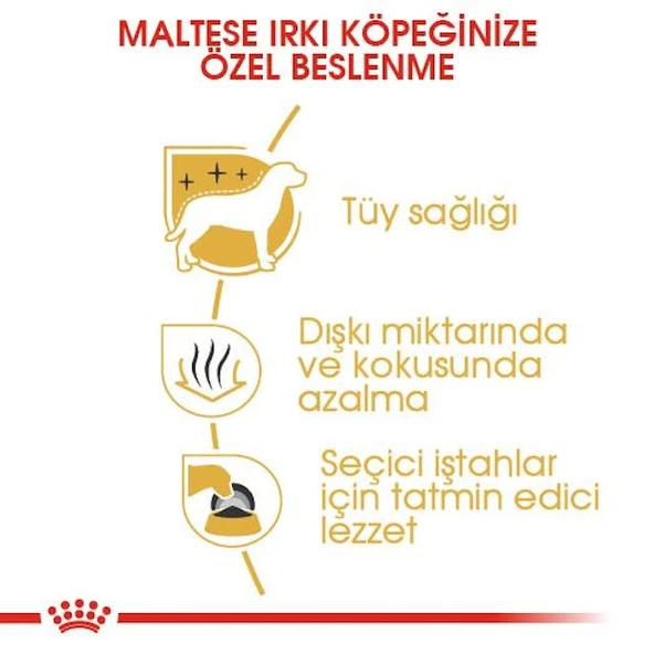 Royal Canin Maltese Adult Yetişkin Köpek Maması 1,5 Kg - 4