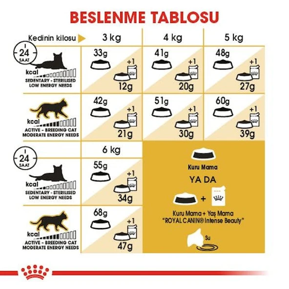 Royal Canin Siamese Siyam Kedilerine Özel Mama 2 Kg - 5