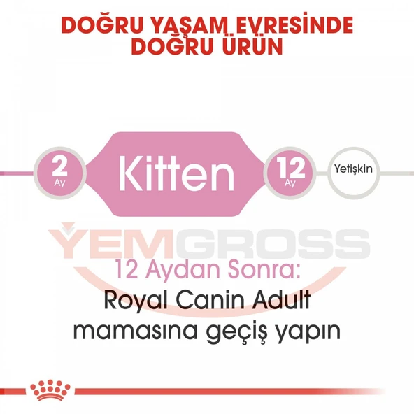 Royal Canin Kitten Yavru Kedi Maması 10 Kg - Resim 4