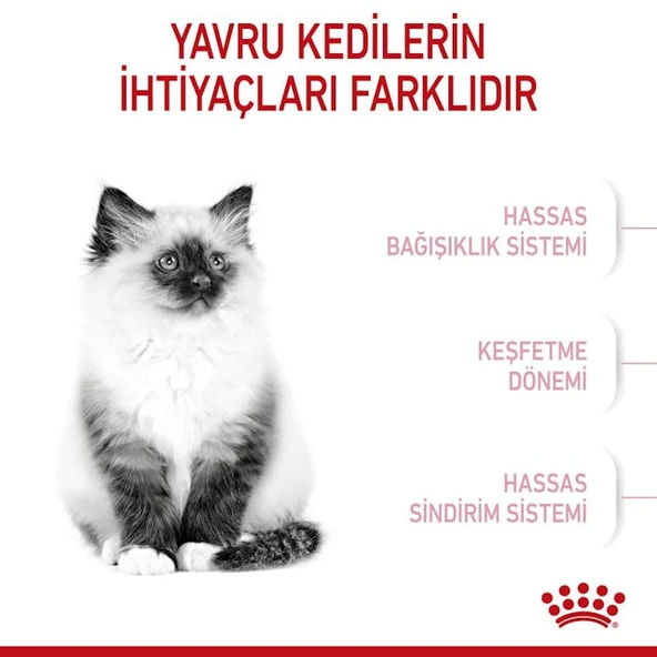 Royal Canin Kitten Yavru Kedi Maması 2 Kg - Resim 6