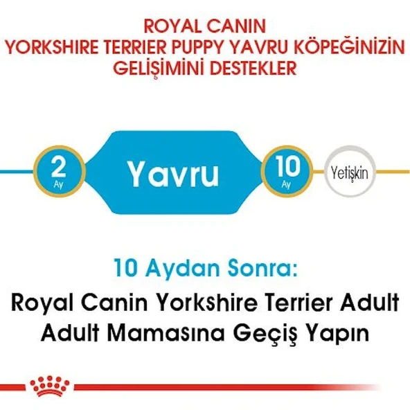 Royal Canin Yorkshire Terrier Puppy Yavru Köpek Maması 1,5 Kg - Resim 5