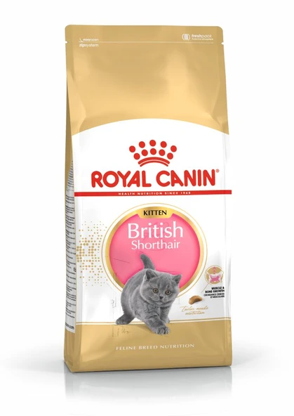 Royal Canin British Shorthair Kitten Yavru Kedi Maması 2 Kg - 2