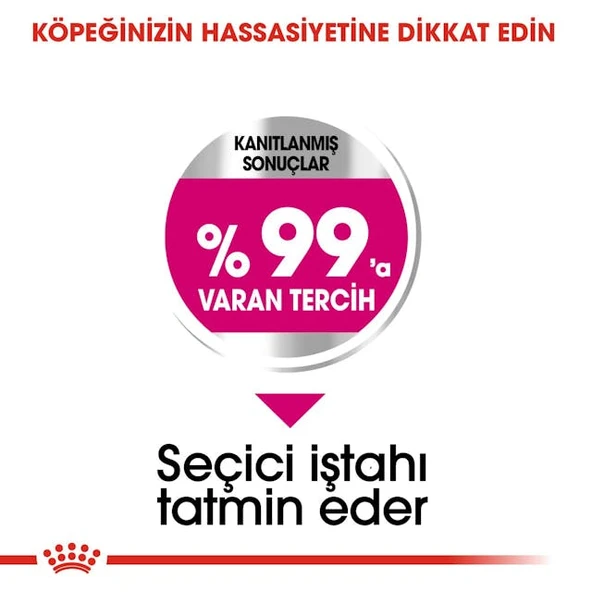 Royal Canin Mini Exigent Küçük Irk Yetişkin Köpek Maması 3 Kg - Resim 4