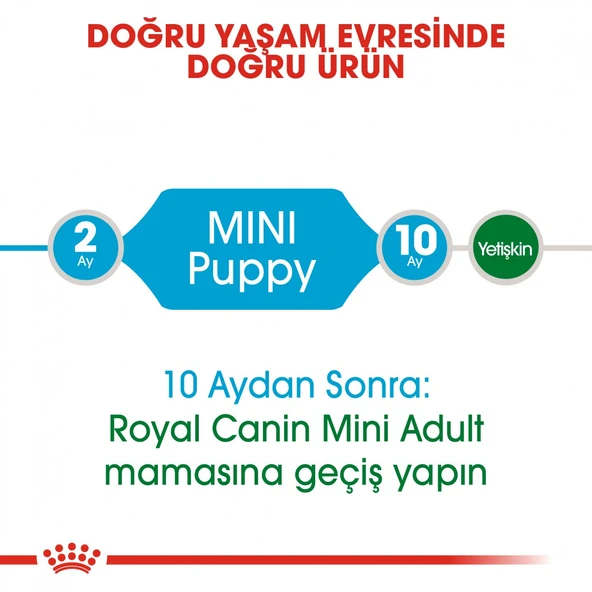 Royal Canin Mini Puppy Küçük Irk Yavru Köpek Maması 4 Kg - Resim 3