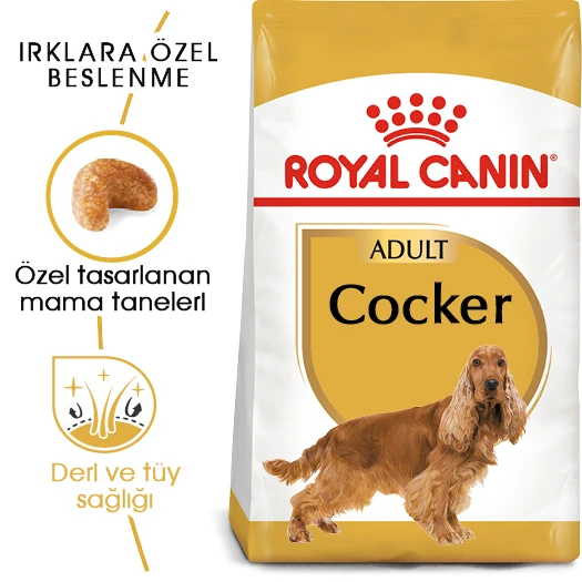 Royal Canin Cocker Adult Yetişkin Köpek Maması 3 Kg ürün görseli