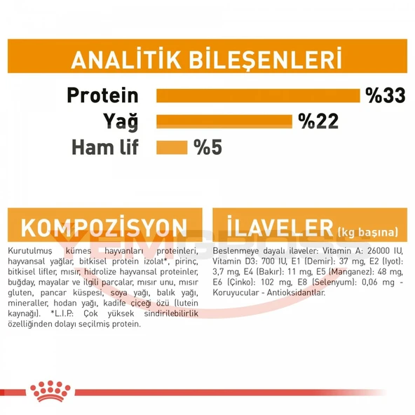 Royal Canin Hair & Skin Care Yetişkin Kedi Maması 4 Kg - Tüy ve Deri Sağlığı İçin Özel Formül - 5