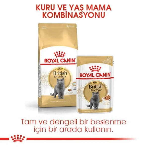 Royal Canin British Shorthair Adult Yetişkin Kedi Maması 10 Kg - Resim 5