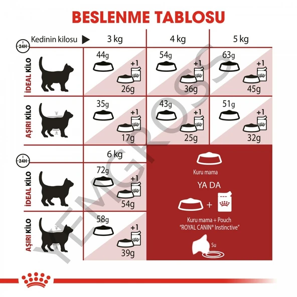 Royal Canin Fit 32 Yetişkin Kedi Maması 2 Kg - 4
