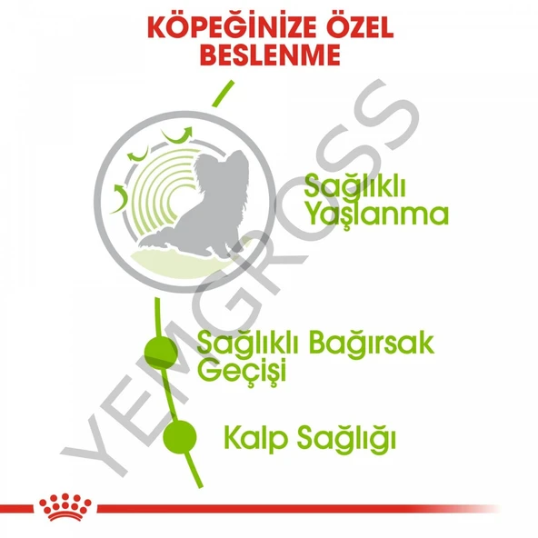 Royal Canin X-Small Ageing 12+ Küçük Irk Yaşlı Köpek Maması 1,5 Kg - Resim 3