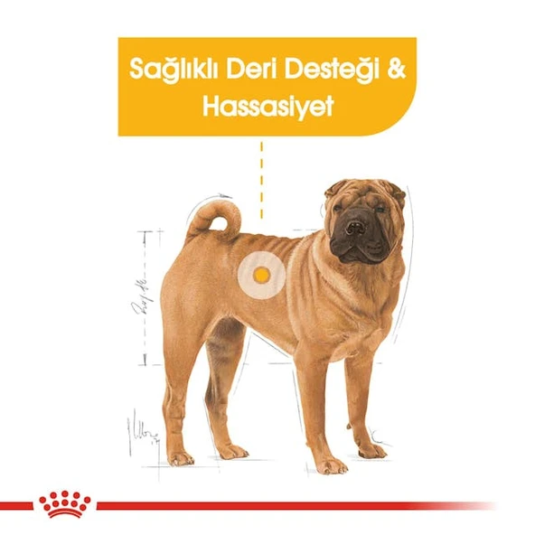 Royal Canin Medium Dermacomfort Adult Yetişkin Köpek Maması 12 Kg - 6