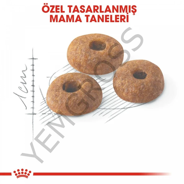 Royal Canin Fit 32 Yetişkin Kedi Maması 2 Kg - Resim 3