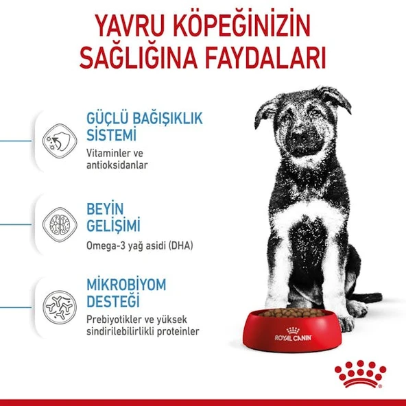 Royal Canin Maxi Puppy Büyük Irk Yavru Köpek Maması 15 Kg - 6