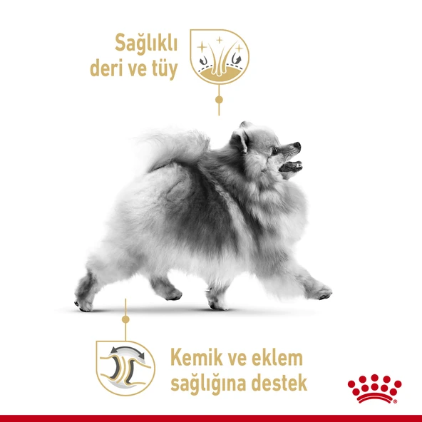 Royal Canin Pomeranian Adult Yetişkin Köpek Maması 3 Kg - Resim 4