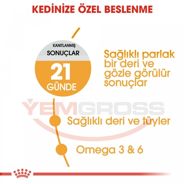Royal Canin Hair & Skin Care Yetişkin Kedi Maması 4 Kg - Tüy ve Deri Sağlığı İçin Özel Formül - 3