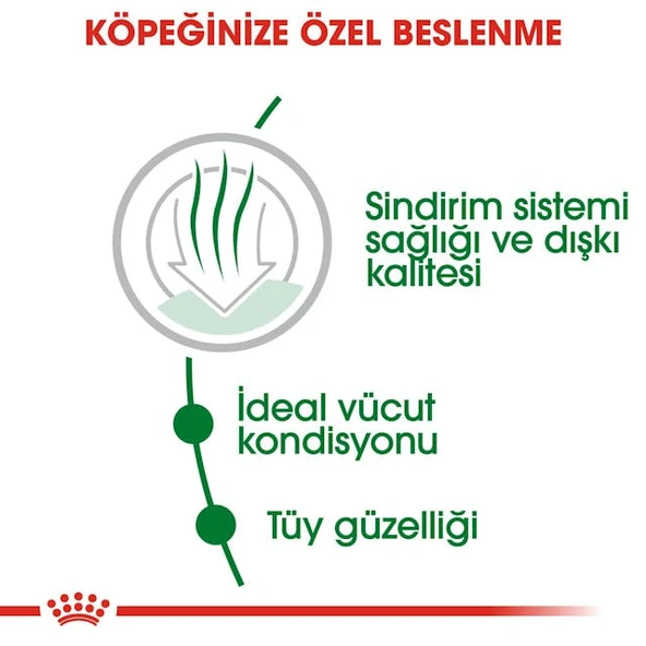 Royal Canin Mini Indoor Adult Küçük Irk Yetişkin Köpek Maması 1,5 Kg - Resim 6