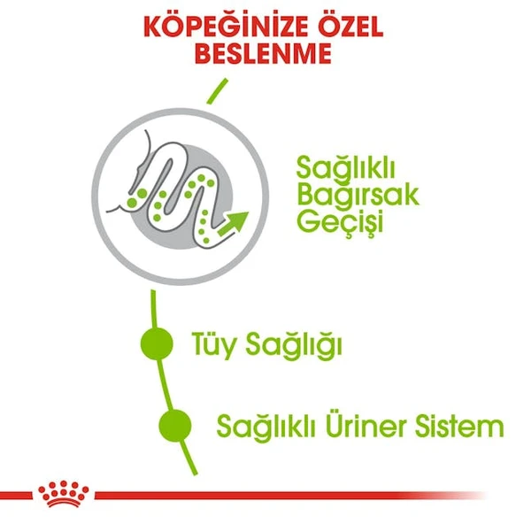 Royal Canin X-Small Adult Küçük Irk Yetişkin Köpek Maması 3 Kg - 6