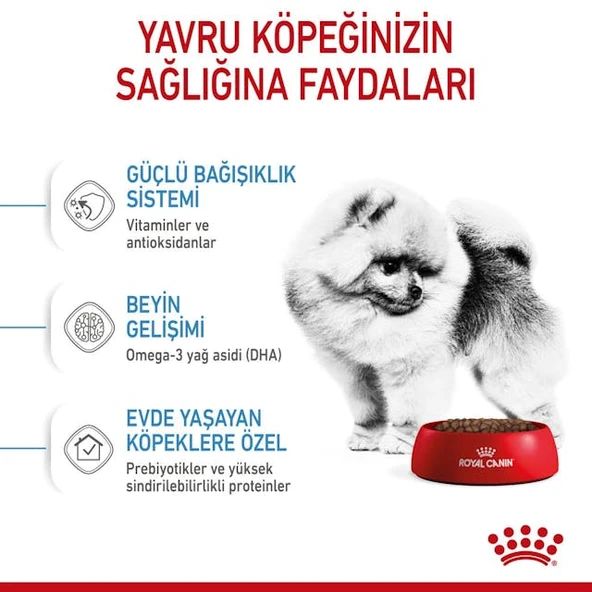 Royal Canin Mini Indoor Puppy Küçük Irk Yavru Köpek Maması 1,5 Kg - Resim 4
