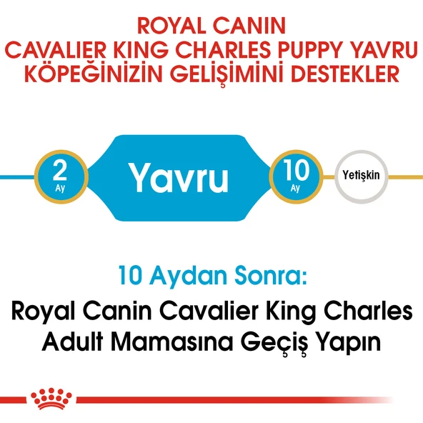 Royal Canin Cavalier King Charles Puppy Yavru Köpek Maması 1,5 Kg - Resim 5