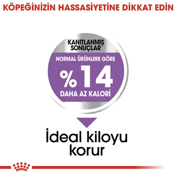 Royal Canin Mini Sterilised Küçük Irk Kısırlaştırılmış Yetişkin Köpek Maması 3 Kg - Resim 6