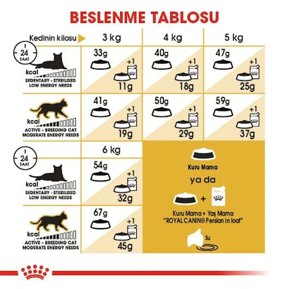 Royal Canin Persian Adult Yetişkin İran Kedi Maması 10 Kg - 6