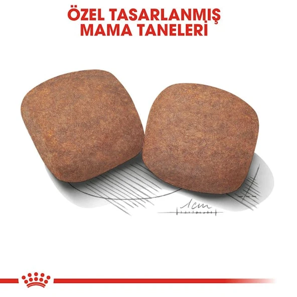 Royal Canin Giant Adult Dev Irk Yetişkin Köpek Maması 15 Kg - Resim 6