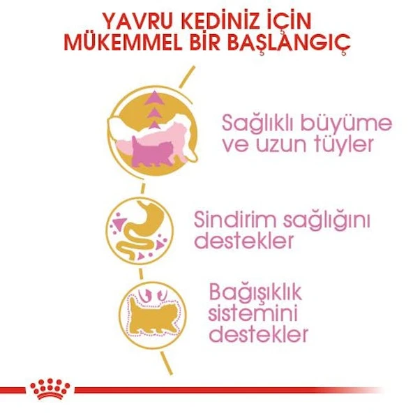 Royal Canin Persian Kitten Yavru İran Kedi Maması 2 Kg - Resim 4