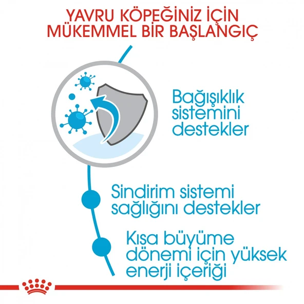 Royal Canin Medium Puppy Orta Irk Yavru Köpek Maması 15 Kg - Resim 7