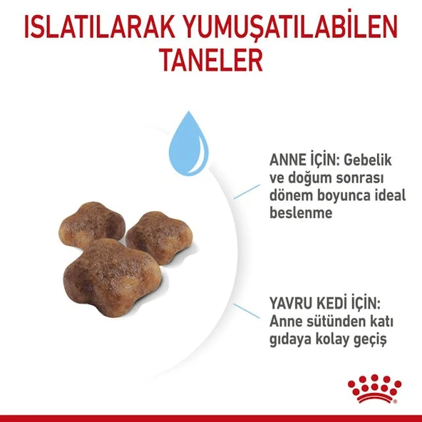 Royal Canin Mother & Babycat Anne ve Yavru Kedi Maması 2 Kg - Resim 8