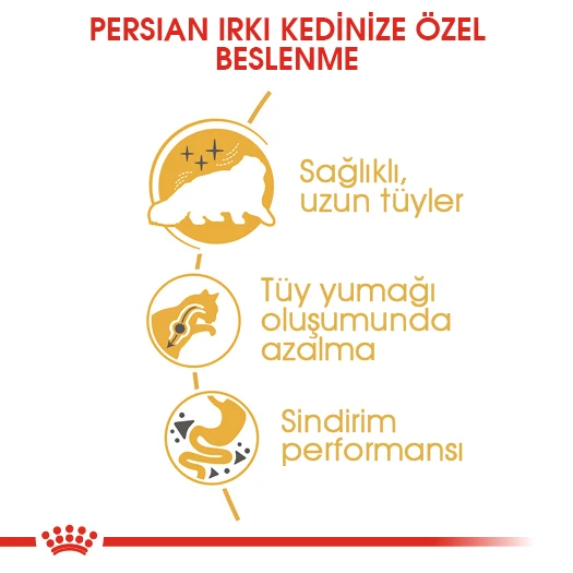 Royal Canin Persian Adult Yetişkin İran Kedi Maması 2 Kg - Resim 5