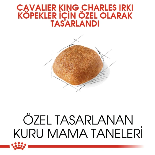 Royal Canin Cavalier King Charles Adult Yetişkin Köpek Maması 1,5 Kg - 4