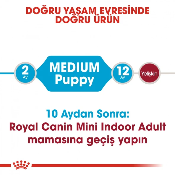 Royal Canin Medium Puppy Orta Irk Yavru Köpek Maması 15 Kg - Resim 4