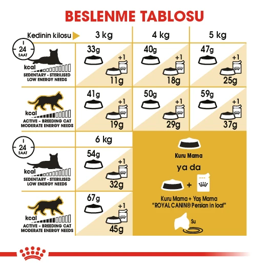 Royal Canin Persian Adult Yetişkin İran Kedi Maması 2 Kg - Resim 6