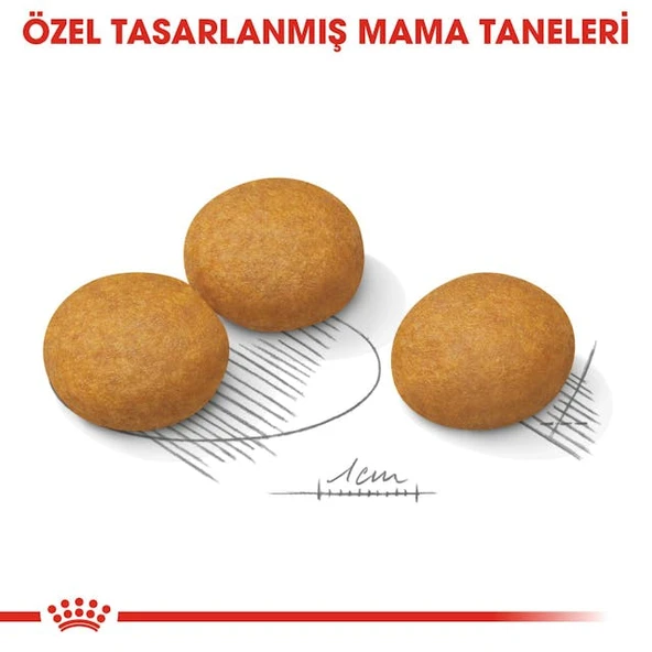 Royal Canin Medium Dermacomfort Adult Yetişkin Köpek Maması 12 Kg - 8