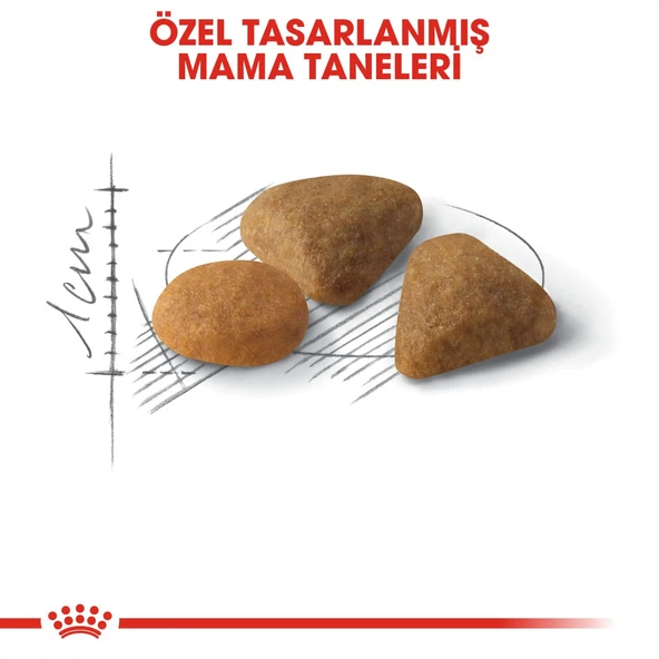 Royal Canin Savour Exigent Yetişkin Kedi Maması 4 Kg - 5