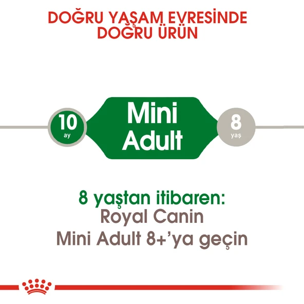 Royal Canin Mini Adult Küçük Irk Yetişkin Köpek Maması 8 Kg - Resim 3