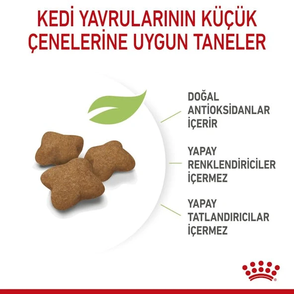 Kitten Steril Yavru Kedi Maması 2 Kg - Resim 7