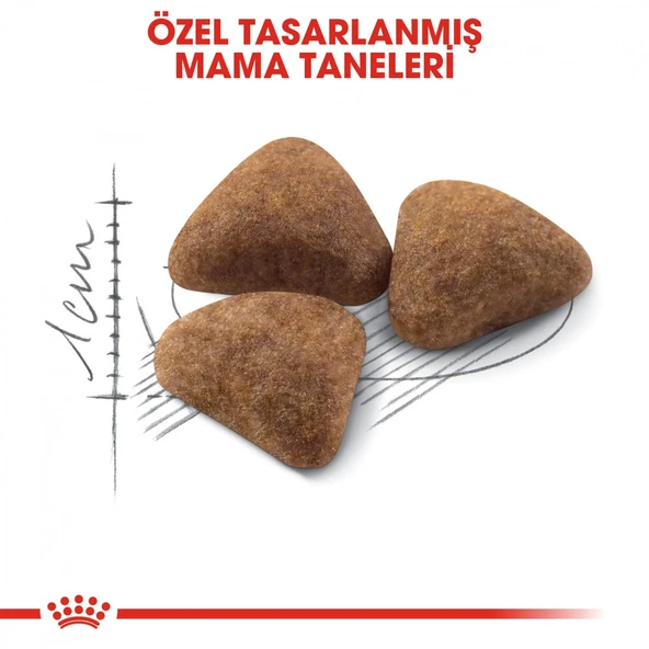 Royal Canin Indoor 27 Ev Kedileri İçin Yetişkin Kedi Maması 400 Gr - 5