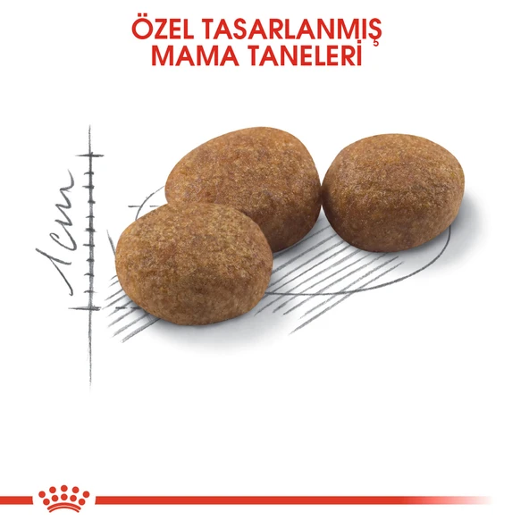 Royal Canin Sterilised 37 Kedi Maması 400 gr - Kısırlaştırılmış Kediler İçin Özel Formül - Resim 5