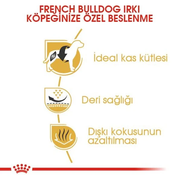 Royal Canin French Bulldog Adult Yetişkin Köpek Maması 3 Kg - Resim 3
