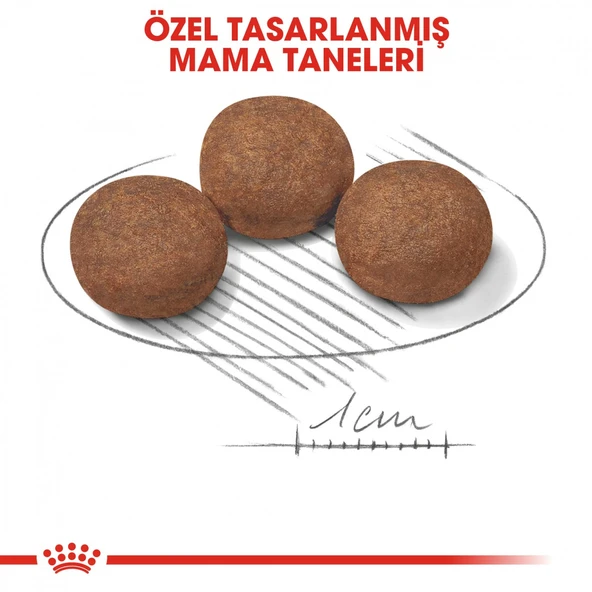 Royal Canin Medium Puppy Orta Irk Yavru Köpek Maması 15 Kg - Resim 5