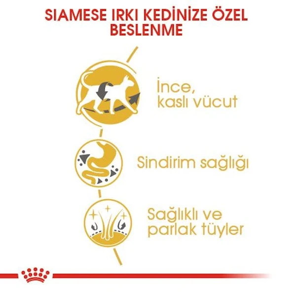 Royal Canin Siamese Siyam Kedilerine Özel Mama 2 Kg - Resim 4