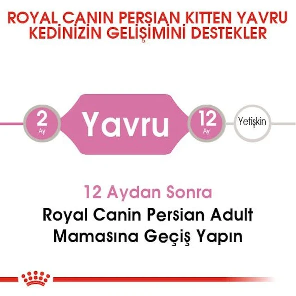 Royal Canin Persian Kitten Yavru İran Kedi Maması 2 Kg - Resim 5