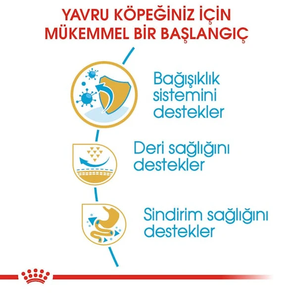 Royal Canin Pug Puppy Yavru Köpek Maması 1,5 Kg - Resim 4