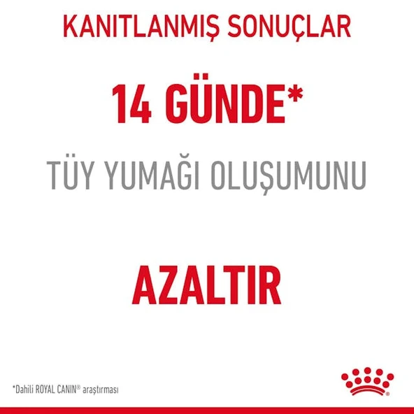 Royal Canin Hairball Care Tüy Yumağı Önleyici Kedi Maması 2 Kg - 4