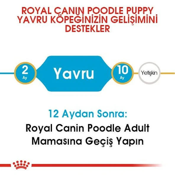 Royal Canin Poodle Puppy Yavru Köpek Maması 3 Kg - 5