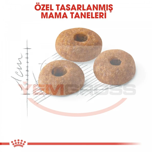 Royal Canin Fit 32 Yetişkin Kedi Maması 15kg - 3