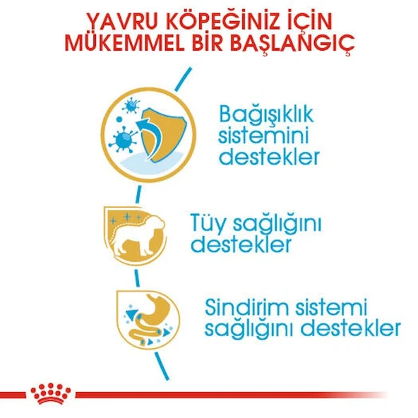 Royal Canin Poodle Puppy Yavru Köpek Maması 3 Kg - 4