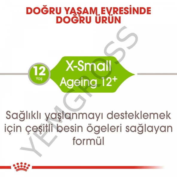 Royal Canin X-Small Ageing 12+ Küçük Irk Yaşlı Köpek Maması 1,5 Kg - Resim 2