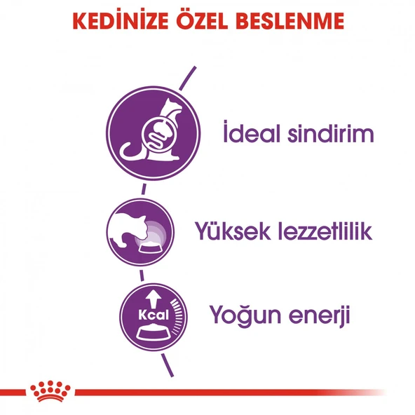 Royal Canin Sensible 33 Hassas Sindirim Sistemli Yetişkin Kedi Maması 4 Kg - 3