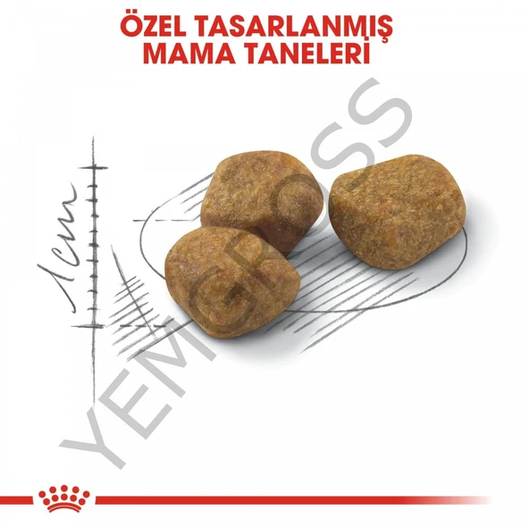 Royal Canin Indoor 7+ Ev Kedileri İçin Yaşlı Kedi Maması 1,5 Kg - Resim 4